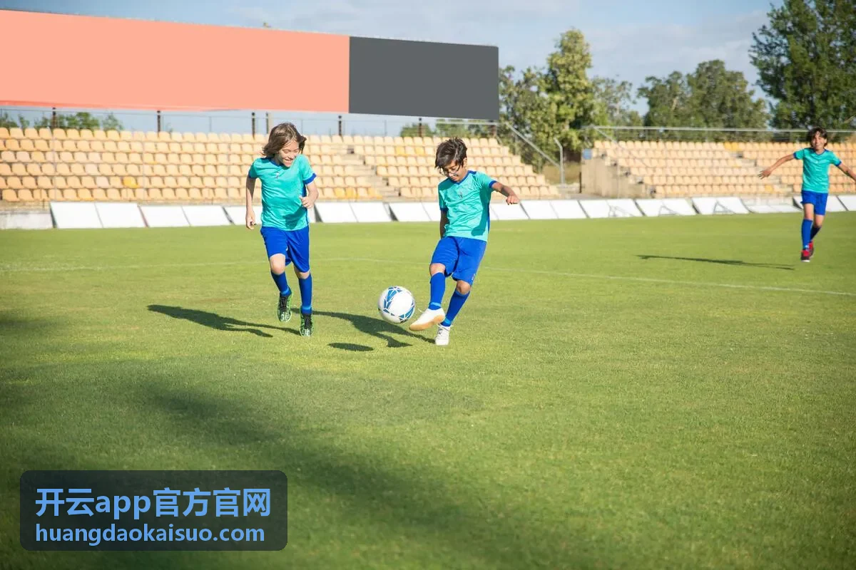 开云app官方官网收藏与检索分区示意
