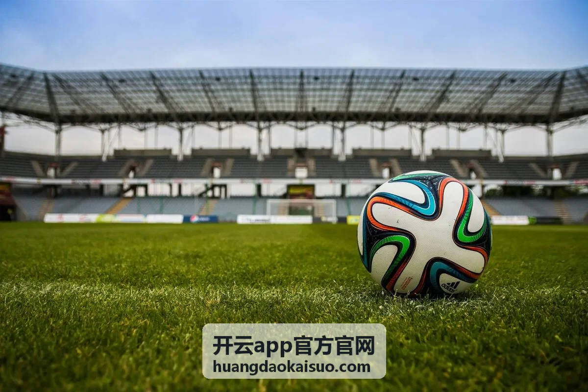 开云app官方官网使用问答分类封面