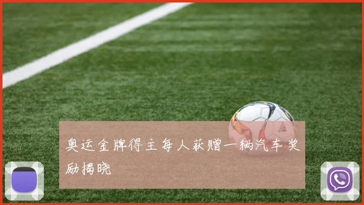 奥运金牌得主每人获赠一辆汽车奖励揭晓