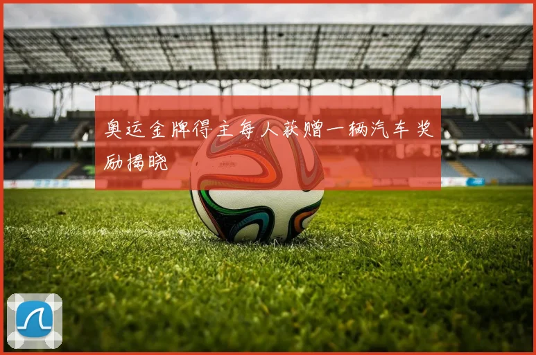 奥运金牌得主每人获赠一辆汽车奖励揭晓
