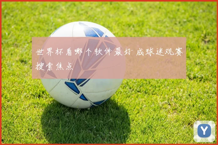 世界杯看哪个软件最好 成球迷观赛搜索焦点